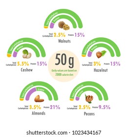 Infographic illustration of value of protein and total carbohydrate in cashew, walnut, pecan, hazelnut and almonds