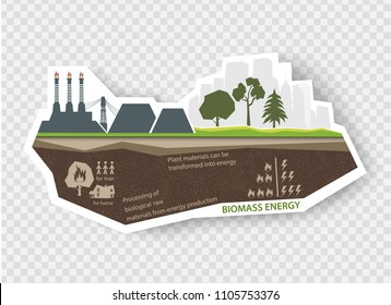 infographic illustrations of renewable energy sources biomass energy