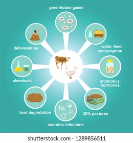 Infographic Of Industrial Factory Farming And Environmental Pollution (deforestation,degradations,greenhouse Gases, Etc.). Harmful Chemicals, Antibiotics In Animal Husbandry. Color Vector Illustration