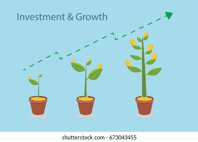 Infographic of investment and money tree growing with gold coin for saving, business investment project and economic concept.