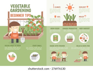 infographic for kids about how to grow vegetable gardening beginner tips