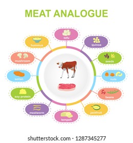 Infographic with meat alternative or analogue. Soy food, nuts, vegetables etc. Color vector illustration isolated on white