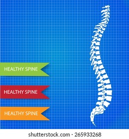 Infographic medic spine card