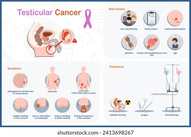 Infographic medical vector illustration. Health care concept. Testicle cancer. Symptoms, risk factors and treatment. Vector in flat style.