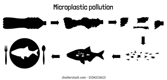 Infographic Of Micro Plastic Travel. Impact Of Microplastic In Marine Ecosystem Concept. Ocean And Food Pollution Ecology Problem. Health Risk Of Micro Plastic Pieces In Food