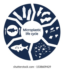 Infographic Of Micro Plastic Travel. Impact Of Microplastic In Marine Ecosystem Concept. Ocean And Food Pollution Ecology Problem. Health Risk Of Micro Plastic Pieces In Food. Micro Plastic Cycle