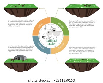 Infografía sobre los diferentes tipos de pastoreo rotacional.diagrama de un pedazo de pasto con ganado y la forma en que se rota.