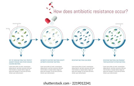 Infographic on how antibiotic resistance occurs. 4-step pro