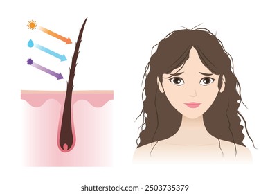 Infografía de cutícula abierta Ilustración vectorial de cabello dañado aislado sobre fondo blanco. La mujer con cabello seco y encrespado causado por el ultravioleta, el calor, la humedad y el producto tóxico. Concepto de cuidado del cabello.