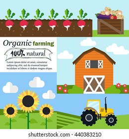 Infographic organic farming set.