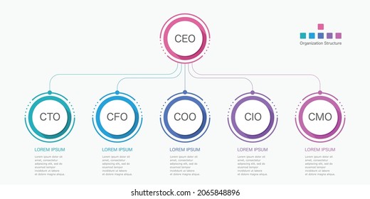 Infographic Organization Structure Executive Positions Business