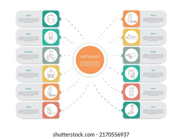 Infographic orthoses, linear icons in vector
