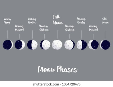 infographic of phases moon cartoon vector in the gray background