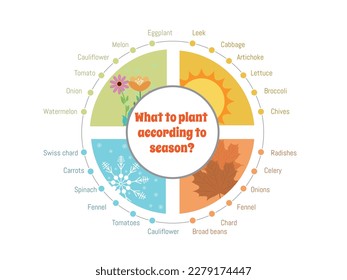 Infographic : Planting with the seasons: what to plant at each time of the year