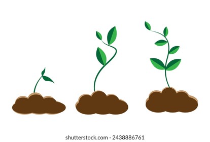Infographic of planting tree. Seedling gardening plant. Seeds sprout in ground. Sprout, plant, tree growing agriculture icons. Vector illustration isolated on white background.