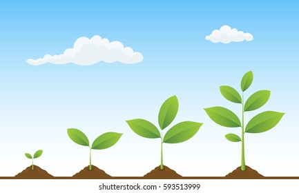  Infographic of planting tree. Seedling gardening plant. Seeds sprout in ground. Sprouts, trees growing icons. Seedling agriculture. Plants growing on beautiful landscape. Vector illustration.