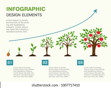 Infographic Of Planting Tree. Seeds Sprout In Ground. Presentation Template With The Evolution Of A Tree. Vector Illustration. Isolated On White Background.