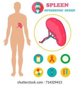 Infographic Poster With Spleen Illustration And Medical Icons