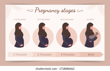 Second Trimester High Res Stock Images Shutterstock