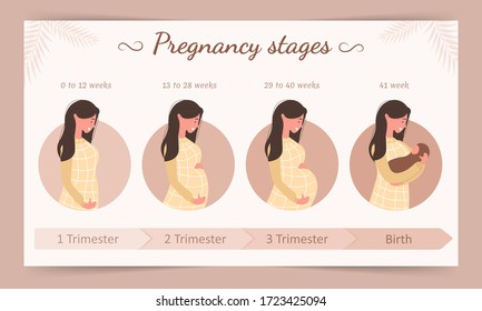 Infografía de las etapas del embarazo. Silueta de una joven embarazada. Ilustración vectorial en estilo plano.