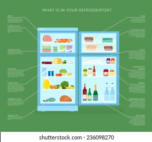 Infographic Refrigerator With Food Icons Flat Style Illustration with Product Description