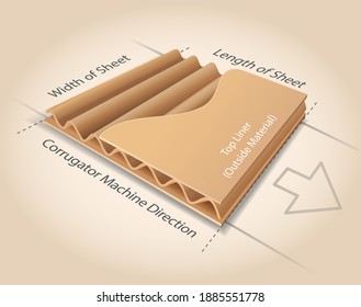 Infographic Scheme of Direction for a corrugating machine