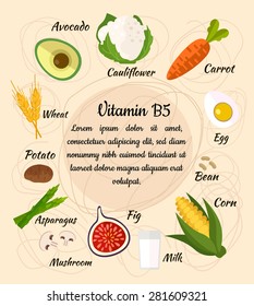 Infographic set of vitamin B5 and useful products: avocado, cauliflower, carrot, egg, bean, corn, milk, fig, mushroom, asparagus, potato, wheat. Healthy lifestyle and diet vector concept.