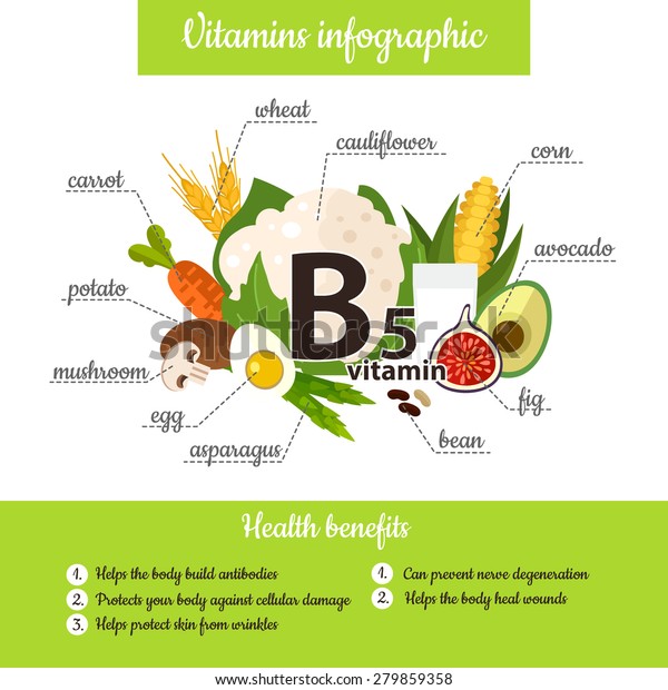 Infographic Set Vitamin B5 Useful Products Stock Vector (Royalty Free ...