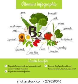 Infographic set of vitamin E and useful products: pea, broccoli, onion, spinach, buckwheat, parsley, tomato, rice, rose hips, nut, apricot, egg, mushroom. Healthy lifestyle and diet vector concept.