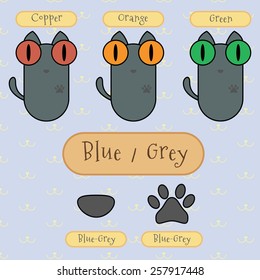 Infographic show detail of blue/grey color cat, eye color, nose color and foot color.