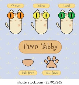 Infographic show detail of fawn tabby cat, eye color, nose color and foot color.