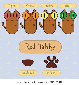 Infographic show detail of red tabby cat, eye color, nose color and foot color.