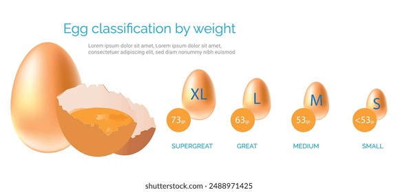 Infographic showing the classification of eggs by weight, ranging from small to extra-large, with corresponding weight categories.