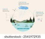 Infographic showing the functions of wetlands, including climate regulation, carbon storage, and flood protection.