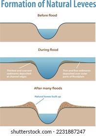 infographic shows the formation of natural levees - vector