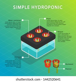Infographic for simple hydroponic or wick system