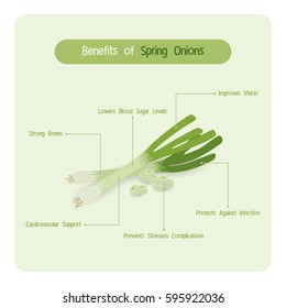 Infographic For Spring Onion Benefits With Handwriting Font Style