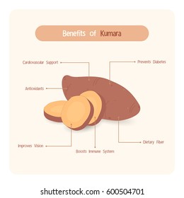 Infographic for sweet potatoes (Kumara) benefits with handwriting font style