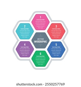 infographic template for annual report, magazine. infographic template for business, education, science world. colorful hexagons information template. six steps information template