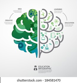 infographic Template brain education and science concept vector illustration 