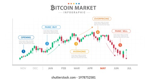 Infographic template for business. Bitcoin Timeline diagram with market phases, cryptocurrency presentation infographic.