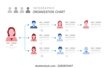 Infographic template for organization chart with business avatar icons. vector infographic for business.