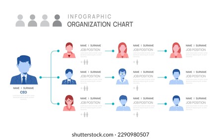 Infographic template for organization chart with business avatar icons. vector infographic for business.