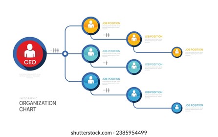 Infographic template for organization chart with business avatar icons. vector infographic for business.