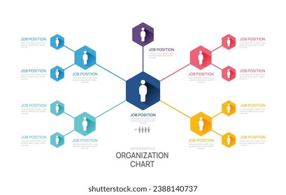 Infographic template for organization chart with business avatar icons. vector infographic for business.