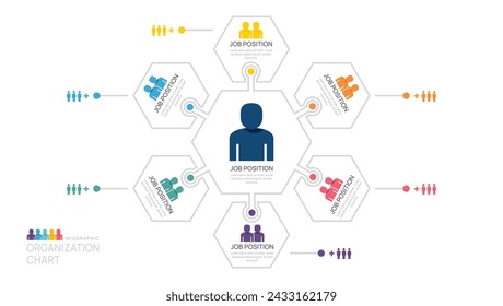 Infographic template for organization chart with business avatar icons. vector infographic for business.