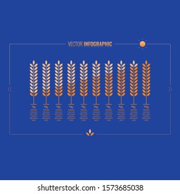 infographic template with spike symbol. spike, wheat and percent numbers. food infographic