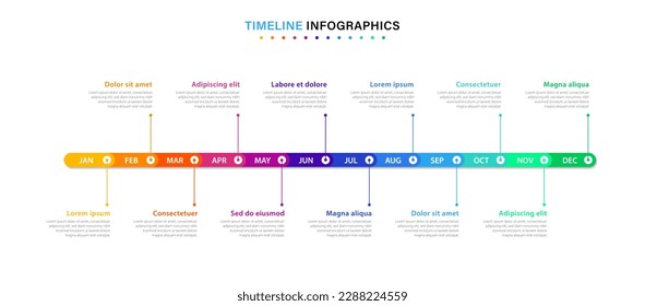 Infographic timeline template for 1 year. Business infographic timeline design with 12 steps or options. Can be used for workflows, calendar layouts, diagrams, presentations. Vector illustration