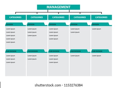 Infographic Tree Diagram Management Categories Division Subdivision Timeline