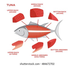 21,547 Tuna Cutting Images, Stock Photos & Vectors | Shutterstock